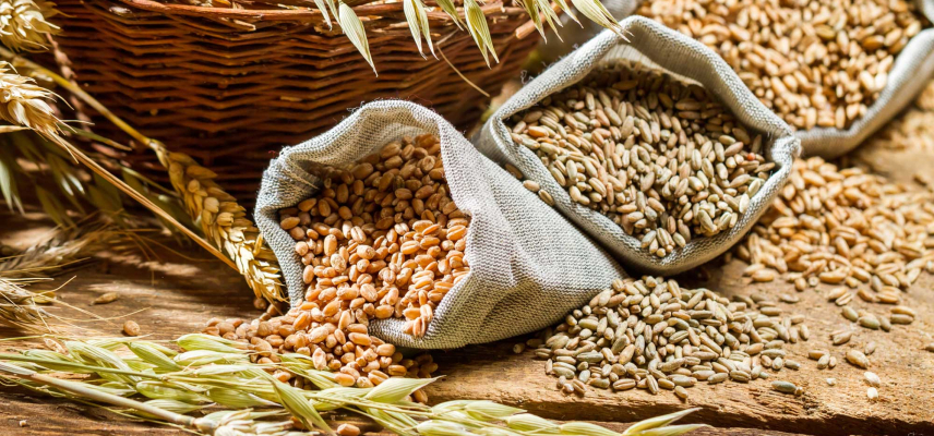 Comer granos integrales para una vida más larga