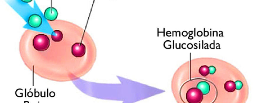 ¿Por qué es importante mantener un correcto nivel de hemoglobina glucosilada?