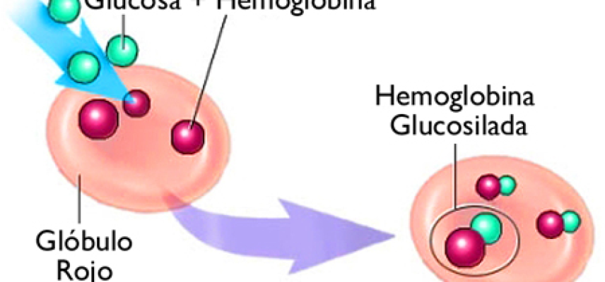 ¿Por qué es importante mantener un correcto nivel de hemoglobina glucosilada?