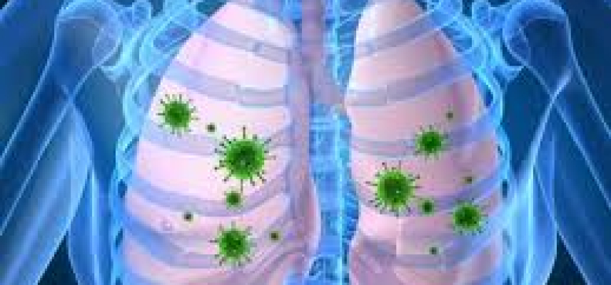 Influenza en esta temporada invernal