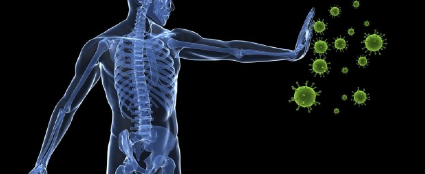 ¿Es la obesidad también un problema inmune?