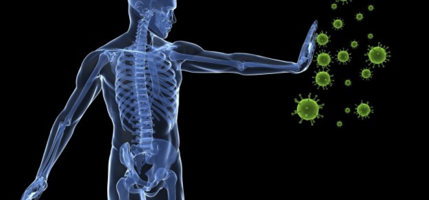 ¿Es la obesidad también un problema inmune?