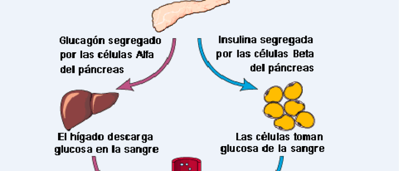Un estudio investigará cómo mejorar el control metabólico en pacientes con diabetes y trastorno mental