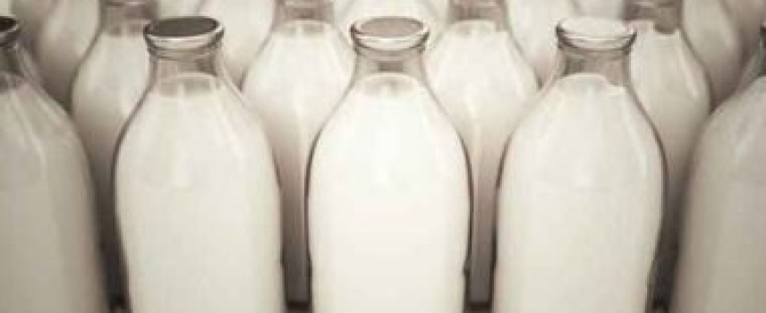 Consumir lácteos diariamente puede ayudar a prevenir el sobrepeso y la obesidad