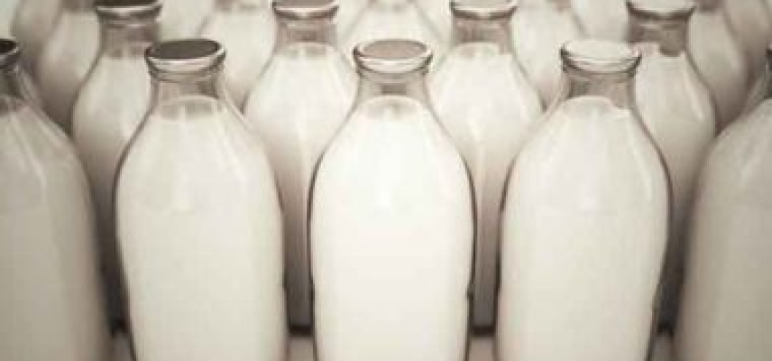 Consumir lácteos diariamente puede ayudar a prevenir el sobrepeso y la obesidad