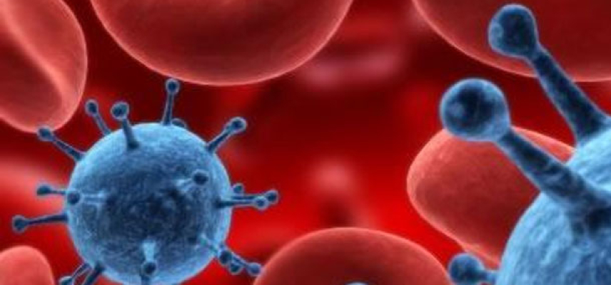 Nueva terapia para Leucemia Linfocítica Crónica y Linfoma de las Células del Manto