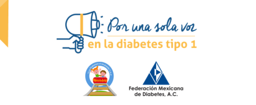 Registro pacientes  DM1