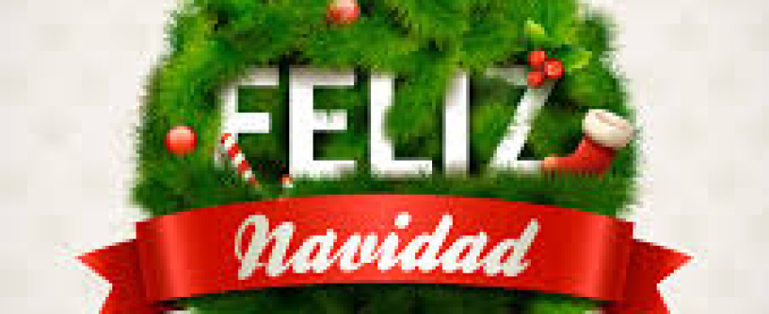 ¡Festeja sin complicaciones! Consejos prácticos para comida en las fiestas decembrinas.