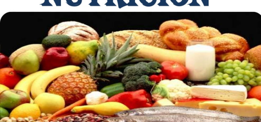 Informe de Nutrición Mundial 2017