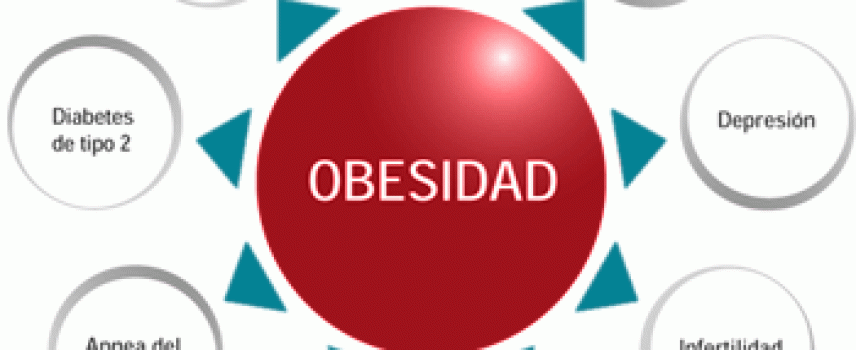 El celastrol posible propuesta para tratar la obesidad