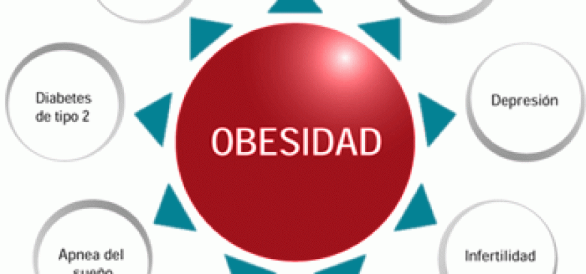 El celastrol posible propuesta para tratar la obesidad
