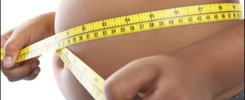 Revisan México y Estados Unidos avances en obesidad