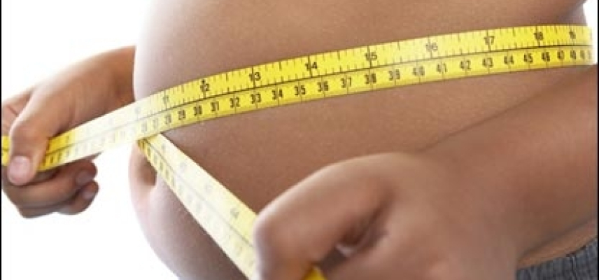 Revisan México y Estados Unidos avances en obesidad