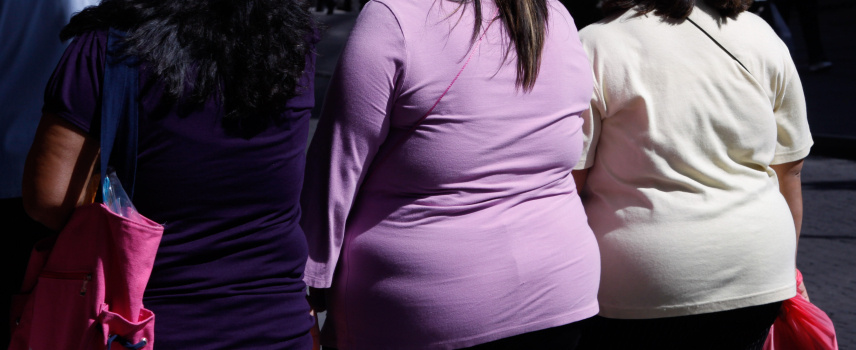 La obesidad y el sobrepeso en México