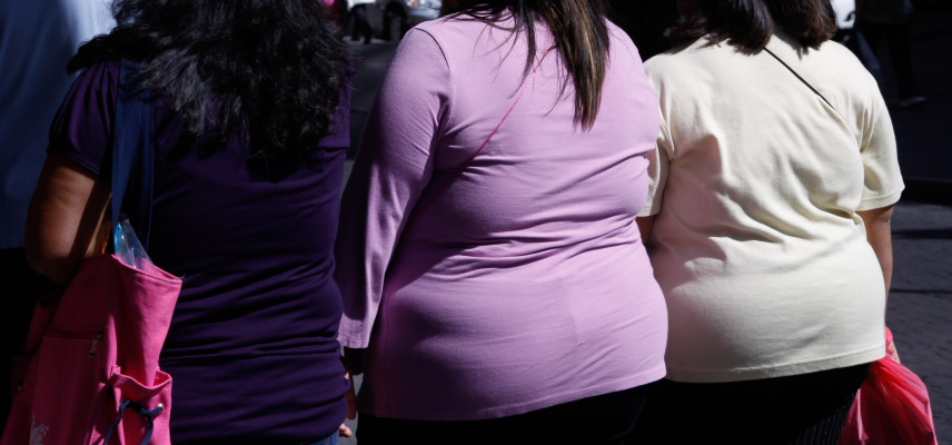 La obesidad y el sobrepeso en México