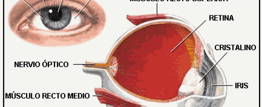 Proponen nuevo tratamiento para la retinopatía diabética