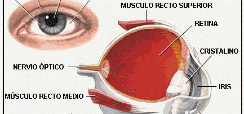 Proponen nuevo tratamiento para la retinopatía diabética