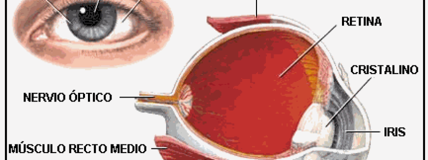 Proponen nuevo tratamiento para la retinopatía diabética