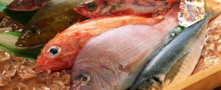 Pescado buena fuente de omega 3