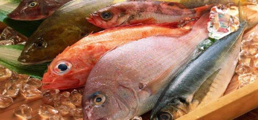 Pescado buena fuente de omega 3