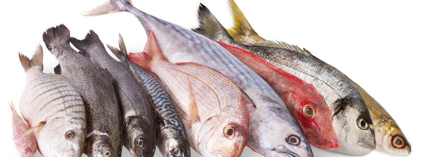 Consumir pescado podría reducir el riesgo de depresión