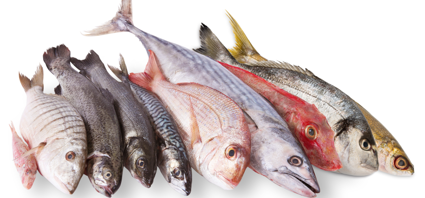 Consumir pescado podría reducir el riesgo de depresión