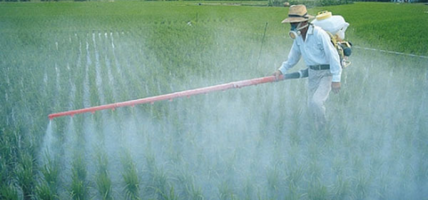 La exposición a pesticidas se asocia con mayor riesgo de diabetes