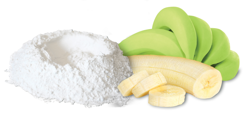 Aprovechan harina de plátano en productos benéficos para la salud