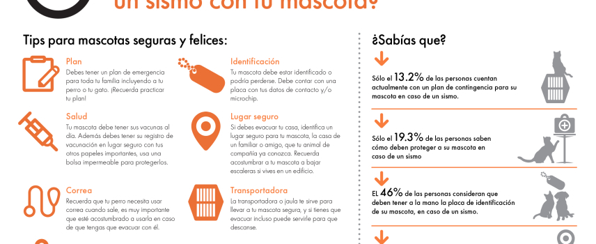 ¿Estás preparado para ayudar a tu mascota durante un sismo?