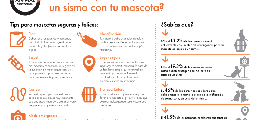 ¿Estás preparado para ayudar a tu mascota durante un sismo?