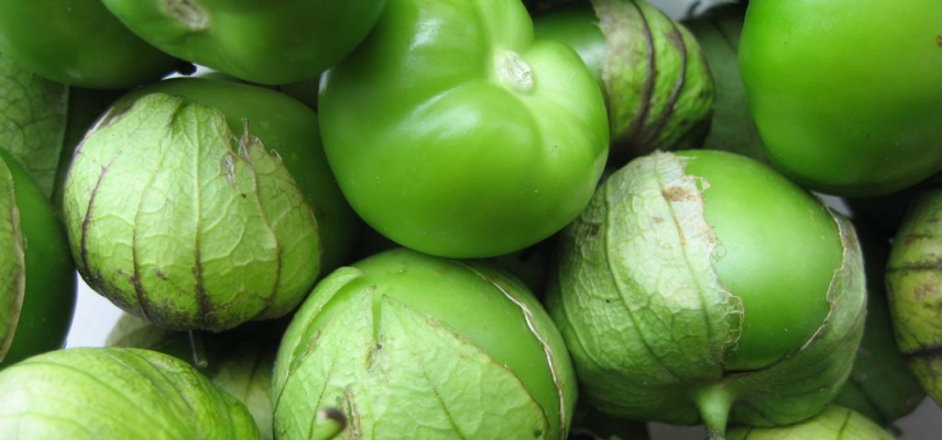 Evalúan el tomate verde para obtener pectinas