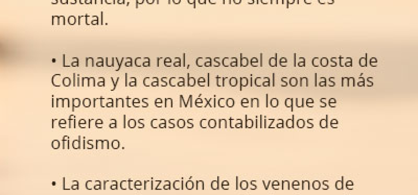 Veneno de serpiente para producir antisueros, anestésicos o analgésico