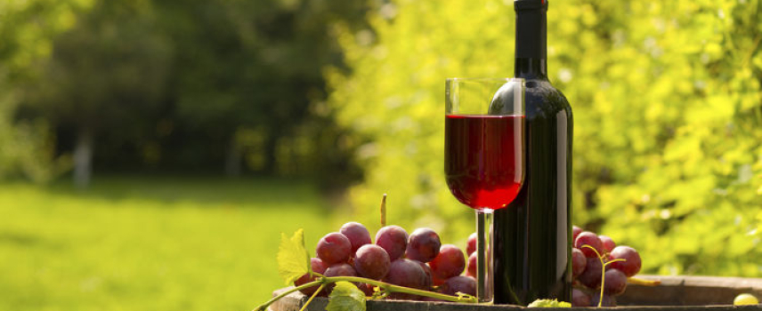 El vino tinto podría disminuir el riesgo cardio metabólico